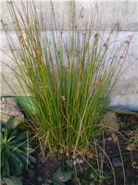 cec6372f-Picture 6766.jpg